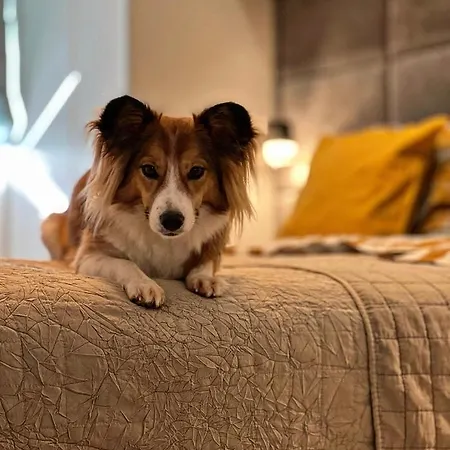 Nadbaltycki Swit - Gdynia Pogorze