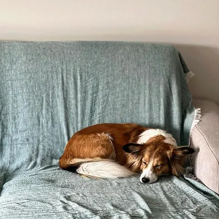 Nadbaltycki Swit - Gdynia * Pogorze