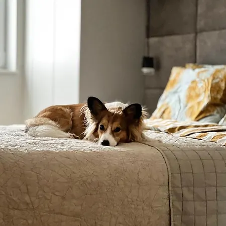 Nadbaltycki Swit - Gdynia