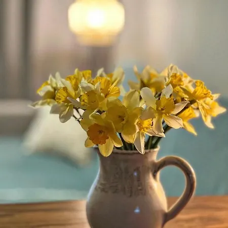 Nadbaltycki Swit - Gdynia