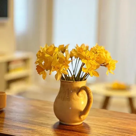 Nadbaltycki Swit - Gdynia Appartement *