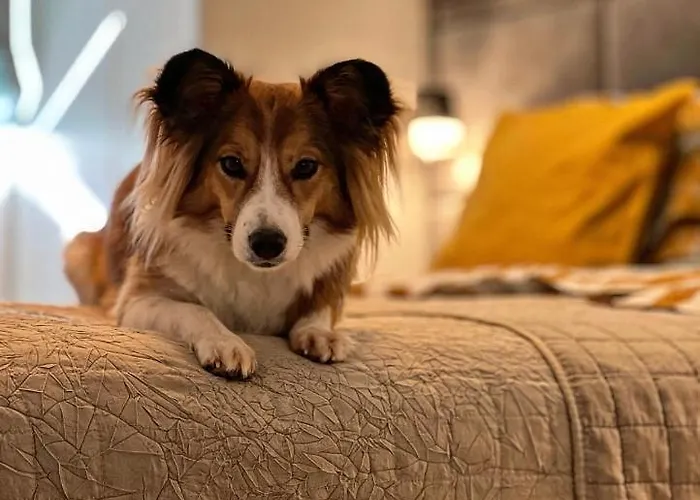 Nadbaltycki Swit - Gdynia Pogorze