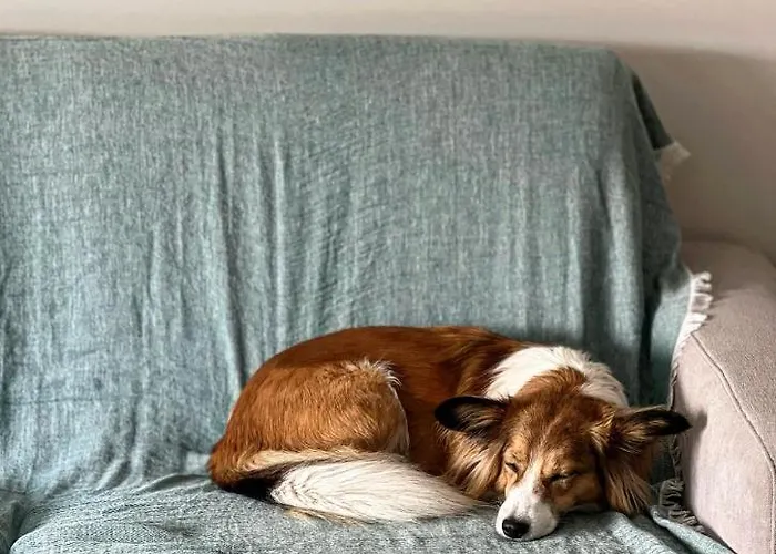 Nadbaltycki Swit - Gdynia * Pogorze