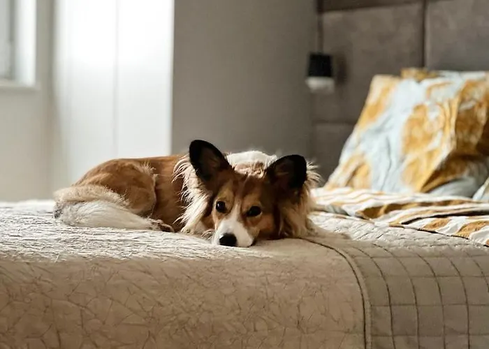 Nadbałtycki świt - Gdynia