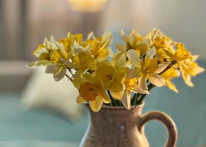 Nadbałtycki świt - Gdynia